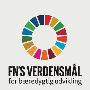 FNs verdensmål